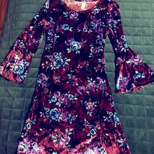 Women’s small velvet dress